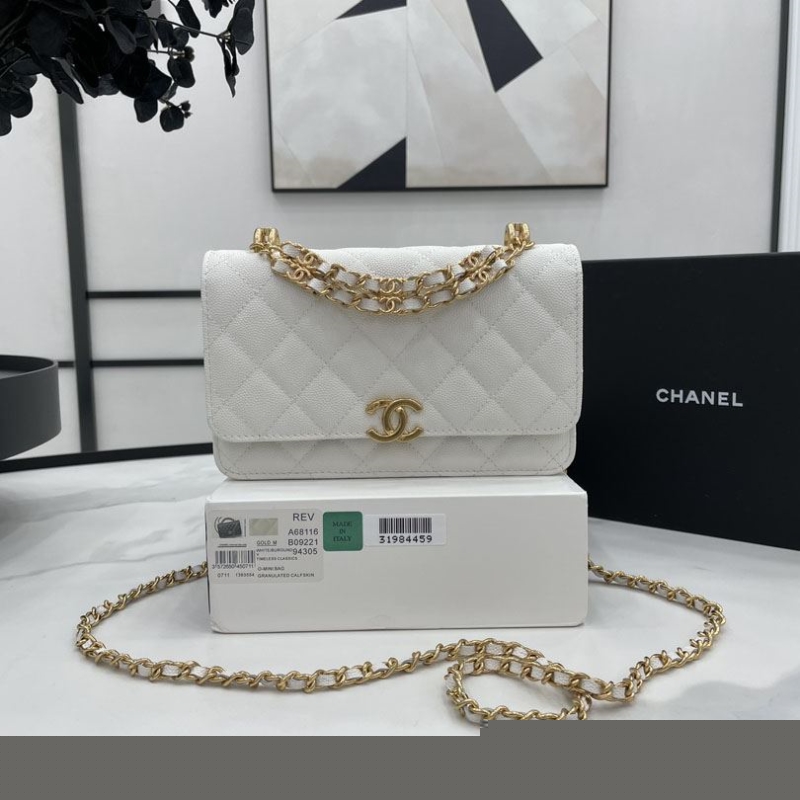Ch*el 19 bags